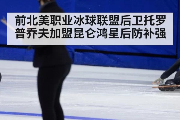 前北美职业冰球联盟后卫托罗普乔夫加盟昆仑鸿星后防补强