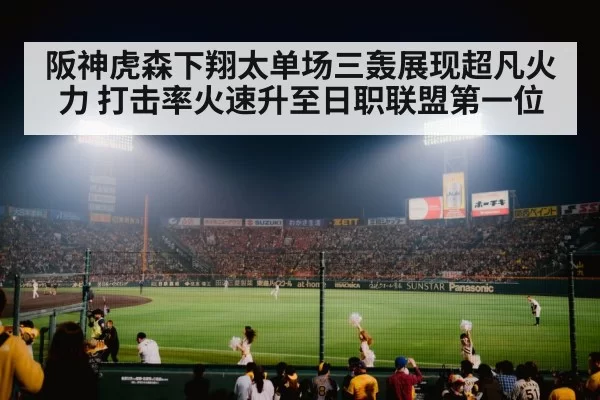 japanese baseball stadium